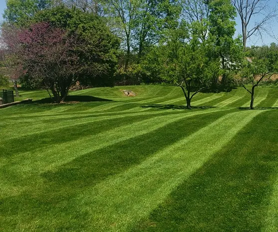 TC Landscape Solutions. Your Top Choice in Landscape Maintenance Services.